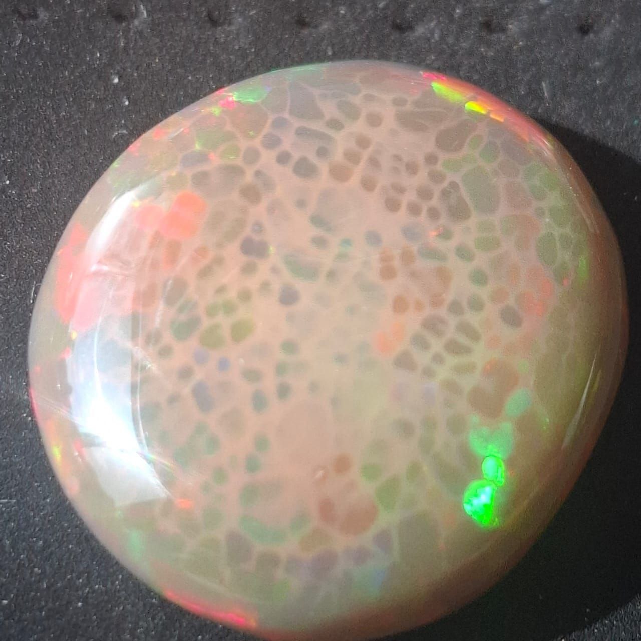 Ethiopian polished opal 12 ct