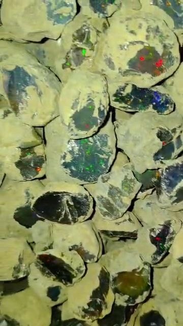 Stayish Ethiopian Black Opal Rough,  Minimum Order 500 Grams